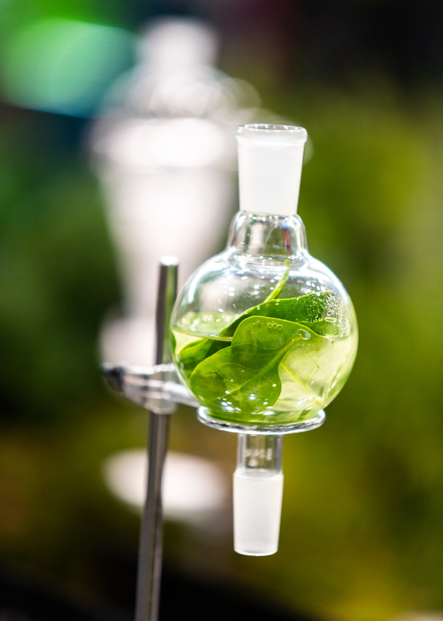 A Cosmoprof Bologna kiállítás a szépségápolás jelenét és jövőjét is bemutatta