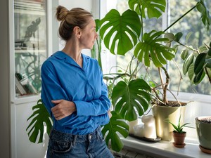 A legtöbben rossz helyre teszik a szobanövényeket, érdemes inkább ide költöztetni őket