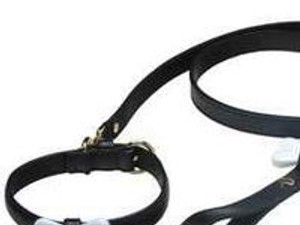 Rövid, de drága pórázon!