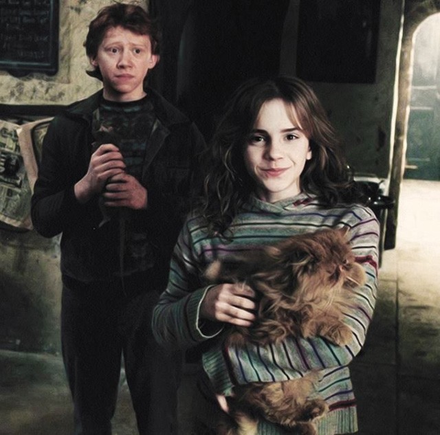 Segítenél milliárdokat spórolni az egészségügynek?