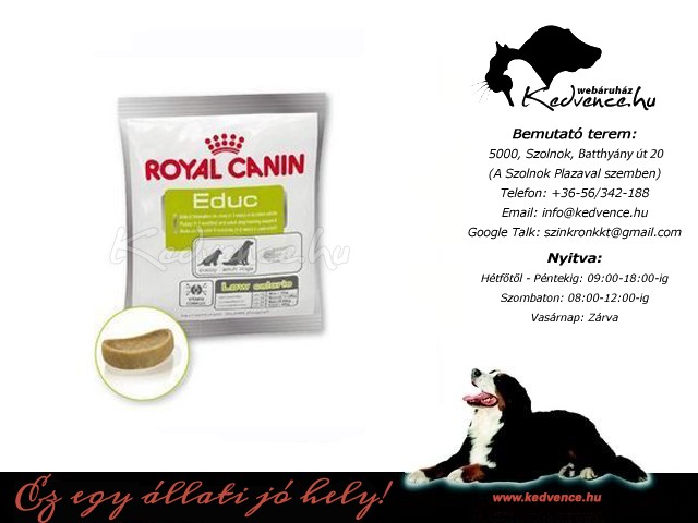 Miért adj a kutyádnak jutalomfalatot?