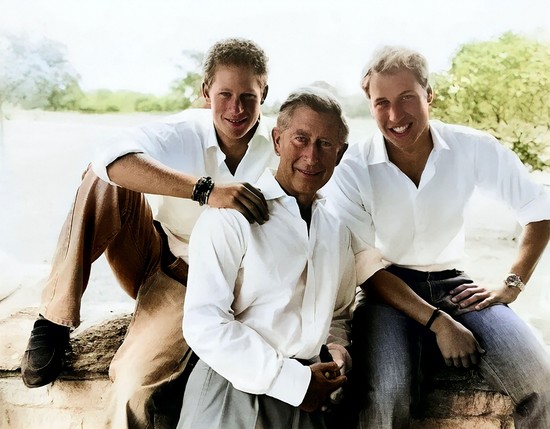 Harry herceg könyve katasztrofális lehet a családra nézve a szakértő szerint