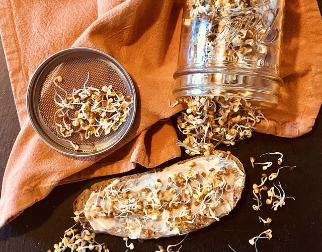 Csíráztató üveg szett 2410 Ft kifozom.hu