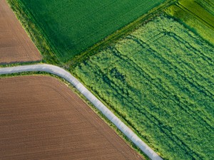 Top 5 természetfilm a Netflixen Föld napjára