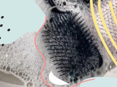 Gusztustalan: ha megnézed ezt a Tiktok videót, te is azonnal kimosod a hajkeféidet