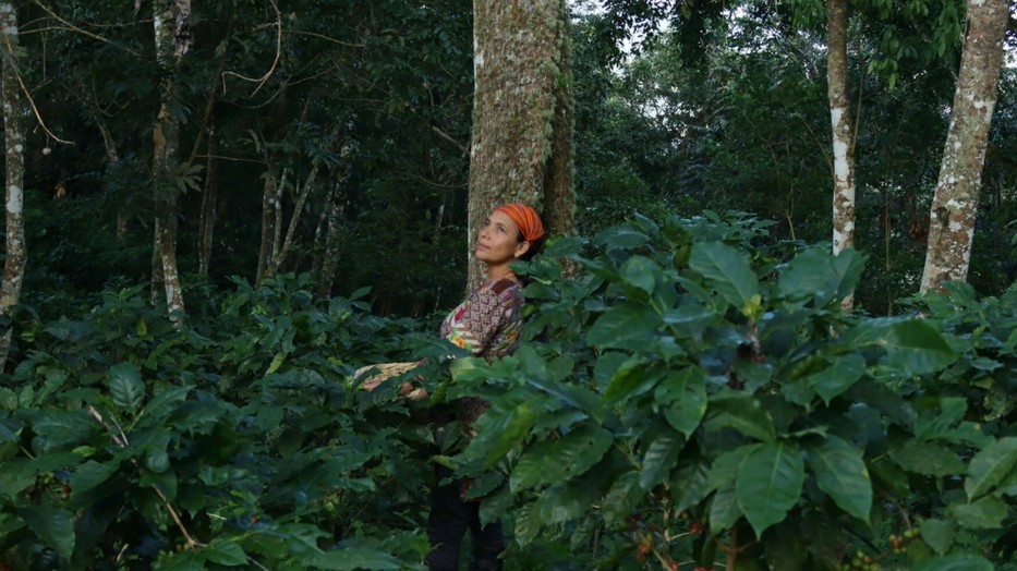 A Lush a környezetvédelmet a legjobban előnyben részítesítő márkák közé tartozik