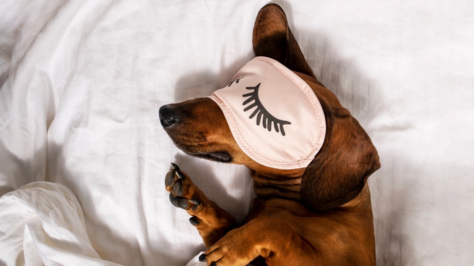 Alvás előtti meditáció - Működik?