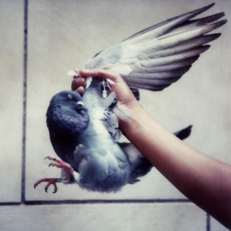 Jodorowsky különleges képi világa