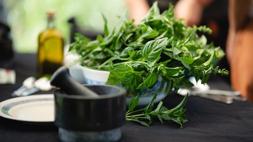 Saját kis fűszerkertre vágysz? Nagy Zsófia, A Fűszeres Lány segít, hogyan kezdj bele