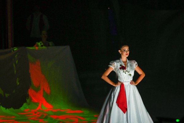 Sydney van den Bosch kiesését a nemzeti öntudatunk okozta?