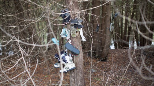 Hátborzongató: cipőkkel teli elhagyatott erdőre bukkant egy fotós!