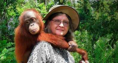 Ezért boldogabbak az orángutánok, mint mi – és ezt tanulhatjuk tőlük