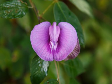 Ezt sosem szabadna megtenned a vagináddal: mégis trendnek számít...