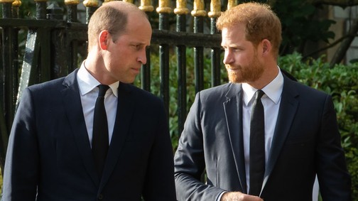 Vilmos herceg évek óta először beszélt nyilvánosan Harry hercegről, és az oka darabokra töri a szívedet