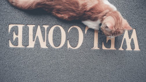 Le akarod nyűgőzni a vendégeket? Íme a legviccesebb lábtörlők