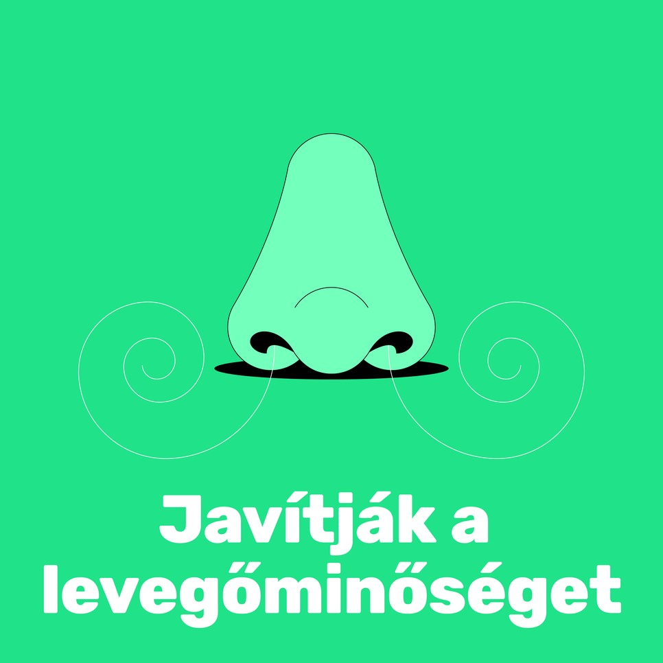 A városi fák többet érnek, mint gondolnánk