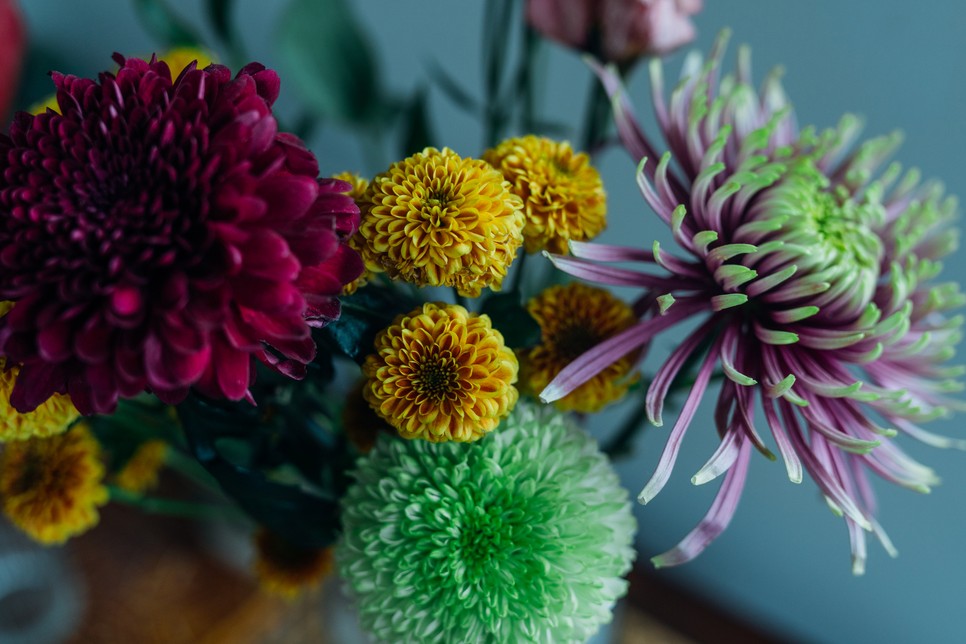 Ezt a virágot válaszd Anyák napjára a horoszkópja alapján