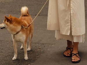 10 nyári papucs és szandál, ami egyszerűen minden stílushoz passzol