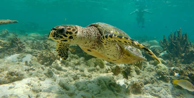 Így hozz ki egy Maldív-szigeteki utazást egy európai út árából