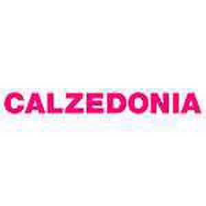 calzedonia-logo-d00004895c0876e837616.jpg