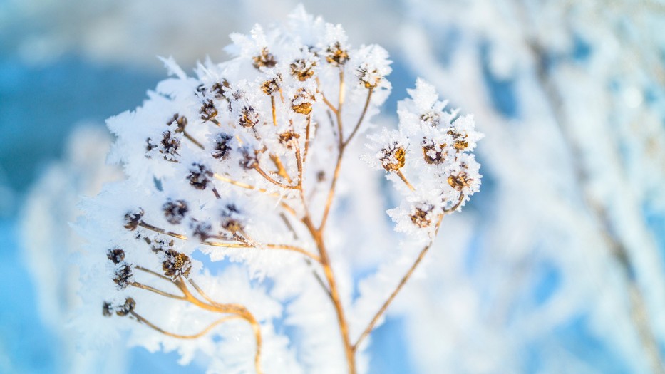A klímaváltozás miatt még durvább fagyok lehetnek hazánkban is