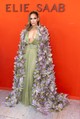 A 2024-es párizsi divathéten tavasztündérként keltett óriási feltűnést káprázatos Elie Saab kreációjában.