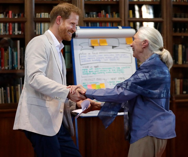 Dr. Jane Goodall elmesélte, milyen Harry herceg élete Amerikában