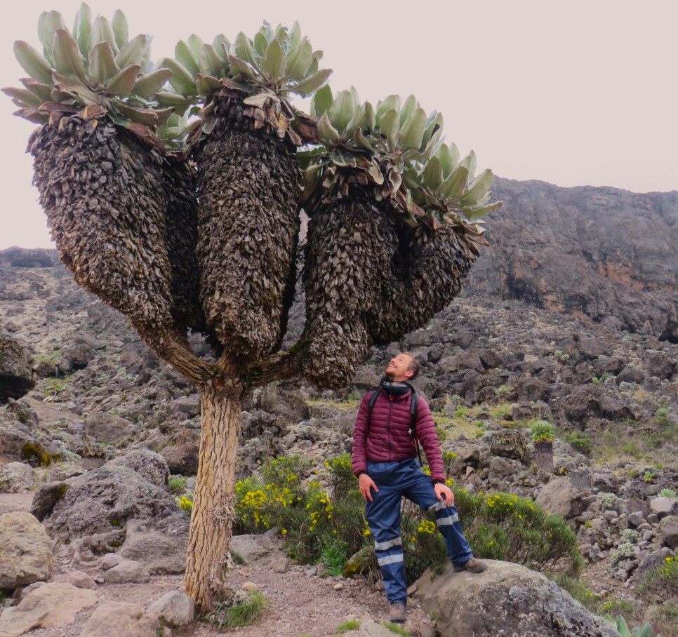 Németh Dániel a Kilimandzsárót is megjárta