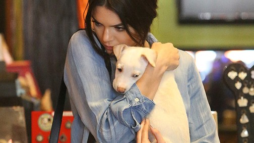 Ó, Kendall Jenner kölyökkutyáját mindenki hazavinné