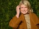 *7. Martha Stewart*Egy sikeres vendéglátó-ipari céggel, a legkeresettebb könyvek sorozatával és egy saját folyóirattal Martha Stewart már sok évvel ezelőtt dúsgazdag üzleti mogulnak mondhatta magát. Mindez azonban összeomlott, amikor illegális bennfentes kereskedelemmel vádolták, és minden tekintetben bűnösnek találták, beleértve az igazságszolgáltatás akadályozását és az összeesküvést is, aminek következtében öt hónapot töltött börtönben. Miután kiszabadult a börtönből, sikerült visszanyernie népszerűségét és ismét nyereségesség tette a cégét, valamint még egy televíziós műsorban is lehetőséget kapott Snoop Dogg oldalán.