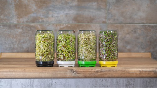 A csíráknál is egészségesebbek, szebbek, finomabbak és színesebbek, na mik azok?