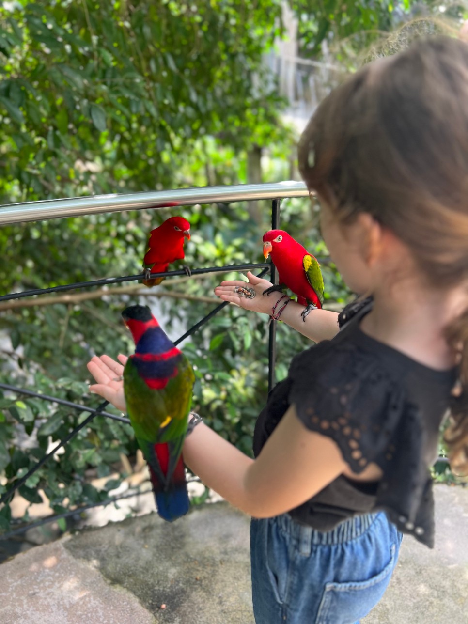 A növény- és állatvilág lenyűgöző