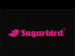 Sugarbird