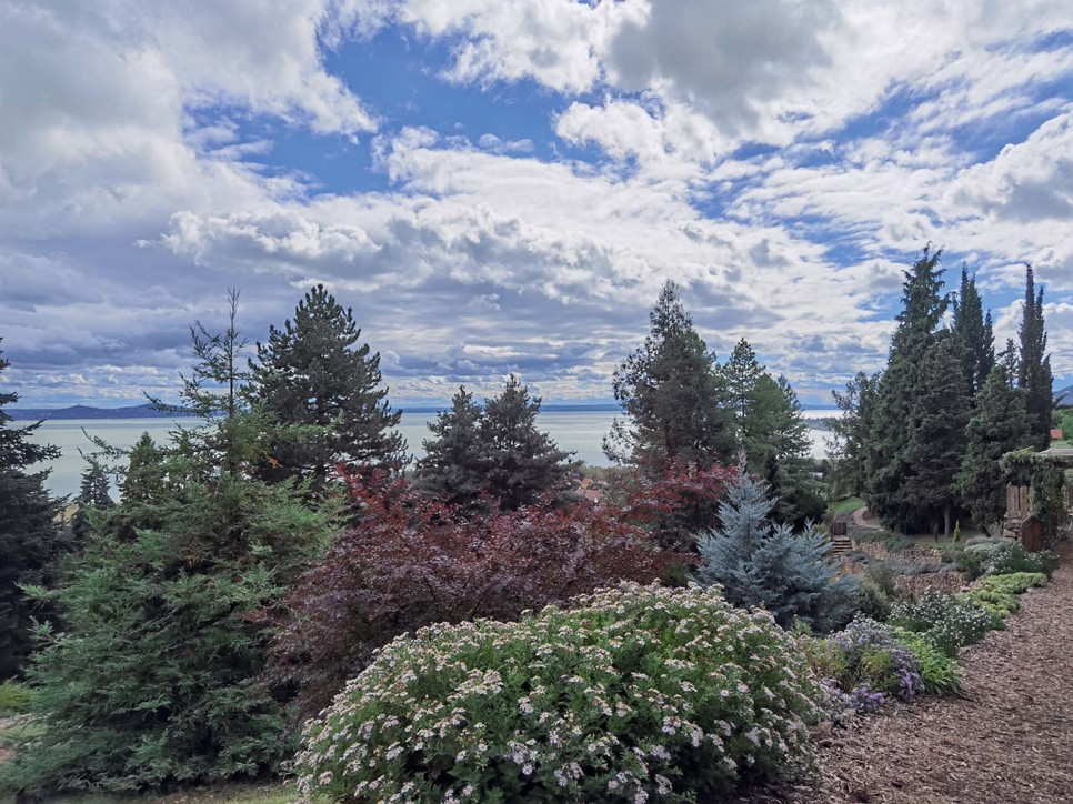 A Folly-arborétum növényeit nagy műgonddal gondozzák