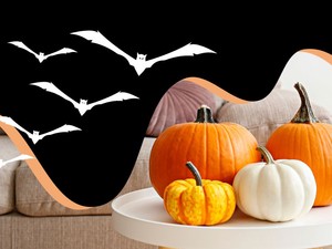 Látványos halloween dekorációk, ha idén valami különlegesre és  pénztárcabarátra vágysz