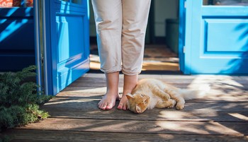 Megnyitja a bőség kapuját: ezt a filléres dolgot tedd az ablakba vagy az ajtó közelébe, és elönti a szerencse a házat