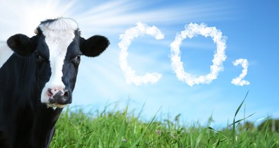 A magyar vásárlókat egyelőre nem érdekli az élelmiszerek ökotudatossága