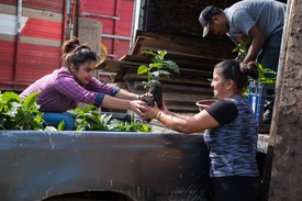 A kávédnak nem csak finomnak, hanem etikusan megtermeltnek is kell lennie!