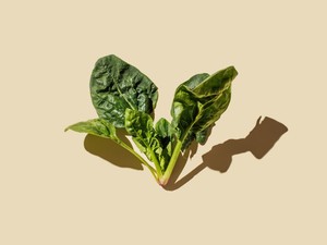 10 magnéziumban gazdag étel, ami túlzás nélkül csodát tesz a szervezeteddel: zavartalanul alszol majd tőlük és a szívedet is erősítik