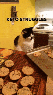 Ketogén diéta: több szól ellene, mint mellette