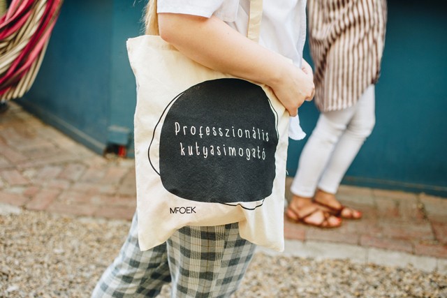 Menj koncertre és ments meg egy örökbefogadásra váró kiskutyát