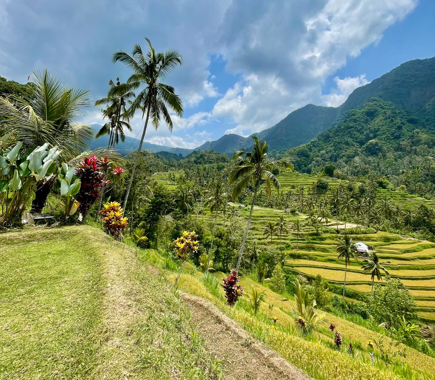 Bali a rizsteraszokról is híres