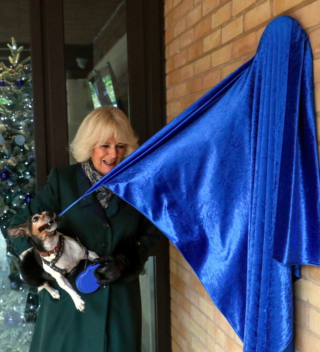 Camilla Parker a világ legédesebb emléktábla-felavatását vitte véghez kutyusával