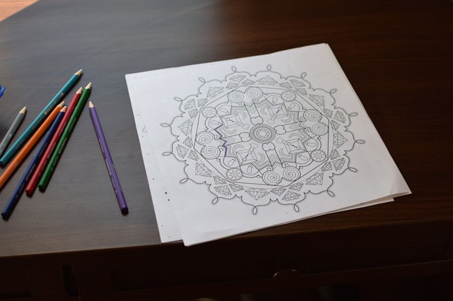 pénisz, felnőtt színező, pen15 club, kifestő, színező, fütyi , indiegogo, kampány, nemi szerv