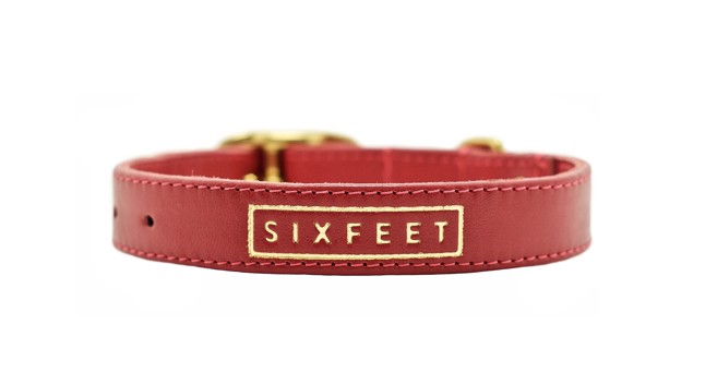 Kutyákra szabja a divatot!