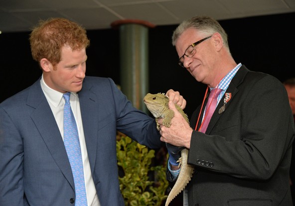 Az állatokkal való pózolás mindig bejön, a cuki koala igencsak nyálas lenne, mennyivel férfiasabb a tuatara! A hidasgyík neve, ki nem találjátok! Naná, hogy Harry!