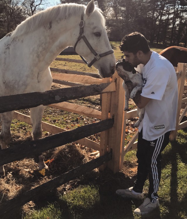 Gigi Hadid és Zayn Malik