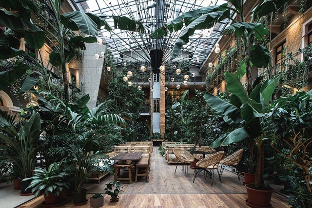 Őserdő nyílt a belvárosban: 500 növény között szürcsölheted el kedvenc koktélodat