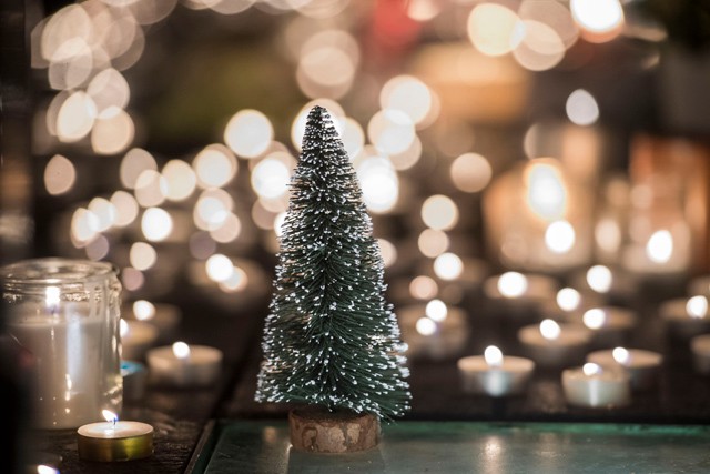 13 különleges alternatív karácsonyfa, hogy igazán egyedi legyen az ünnep