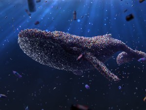 Szörnyű! 40 kilogramm műanyagot találtak egy bálna gyomrában a Fülöp-szigeteken